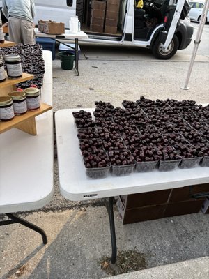 South Shore Farmers’ Market by null
