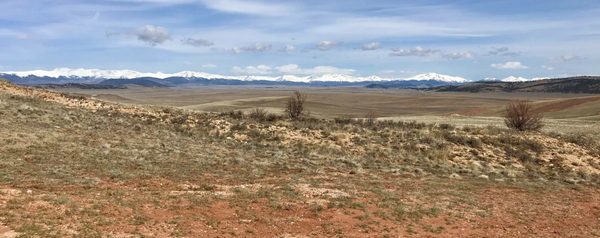 Bayou Salado Trading Post