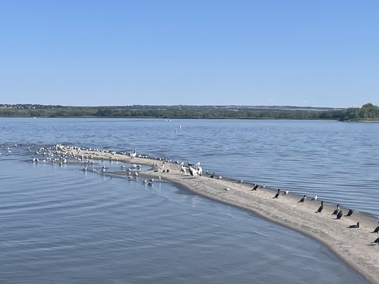 Cherry Creek State Park by null