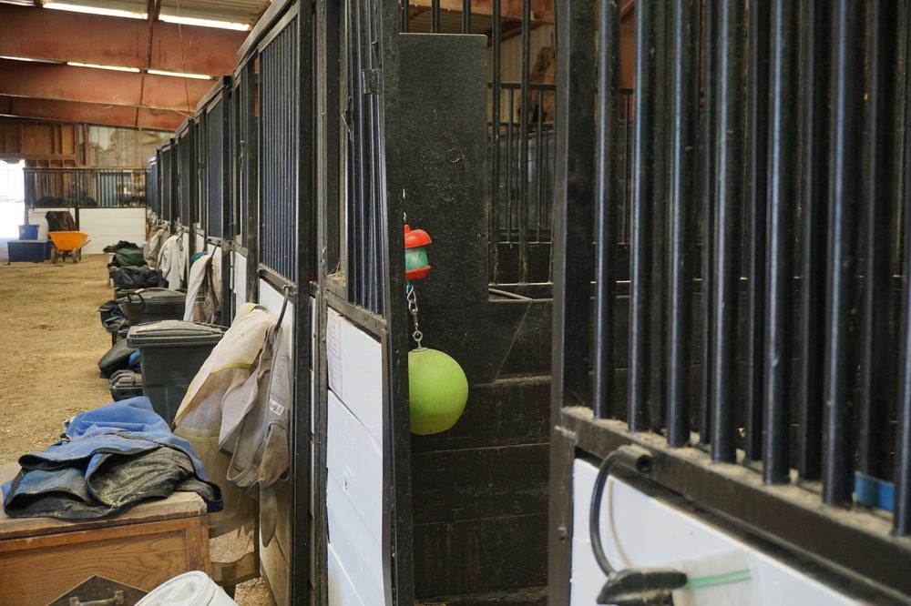 Evening Star Farms - equestrian in Arvada, CO