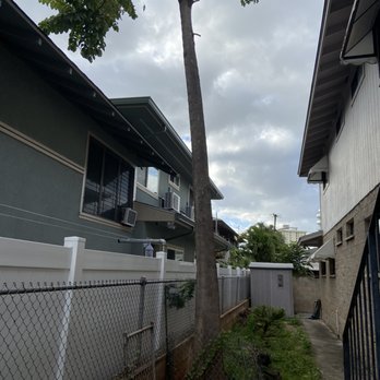 Island Ohana Tree & Landscaping Services - a tree in a residential area - Tree Services Near Me - Ewa Beach, Hawaii Island Ohana Tree & Landscaping Services - a tree in a residential area - Tree Services Near Me - Ewa Beach, Hawaii