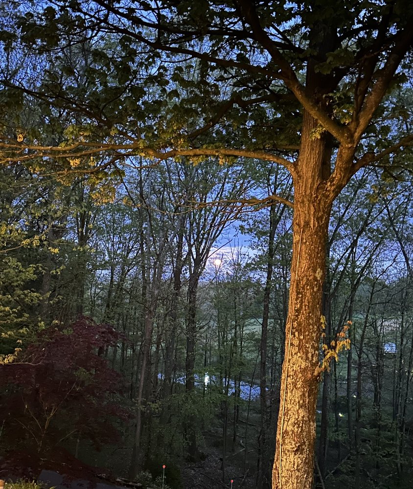 SLEEPY HOLLOW INN BED & BREAKFAST Updated September 2024 38 Photos