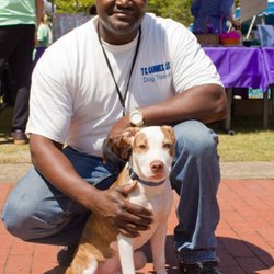 Tc Canines - Max is the dog I saved
