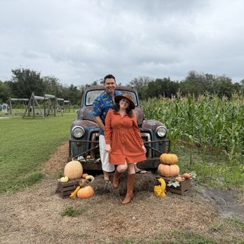 Long & Scott Farms - Outside by playground and corn field - Farmers Market Near Me - Mount Dora, Florida Long & Scott Farms - Outside by playground and corn field - Farmers Market Near Me - Mount Dora, Florida
