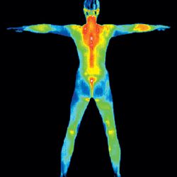 The Thermography Center