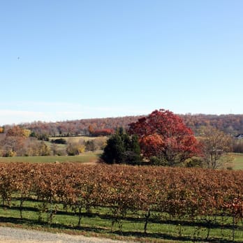 Mediterranean Cellars Winery - Wineries Near Me - Warrenton, Virginia