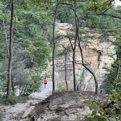 Falling Water Falls Trail