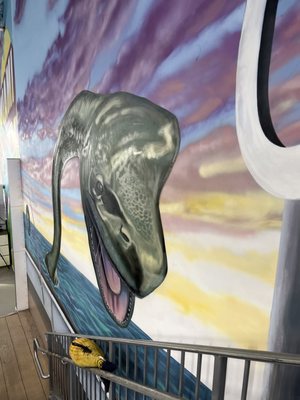 Museum of Illusions by null