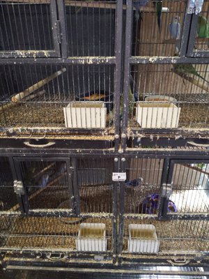 Corralitos Feed And Pet Supplies 1486 Freedom Blvd Watsonville Ca Pet Shops Mapquest