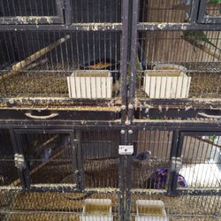 Corralitos Feed and Pet Supplies