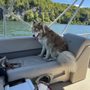 Johnson's Pontoon