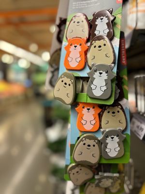 Whole Foods Market by null