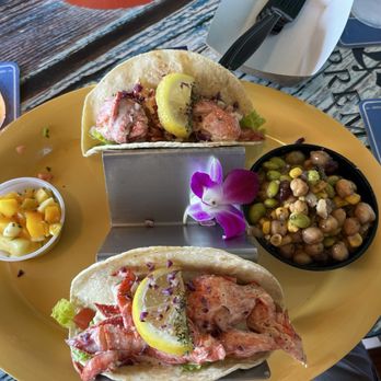 Nokomo's Sunset Hut - Seafood Near Me - Nokomis, Florida