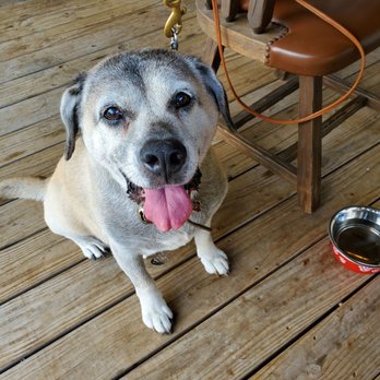 West Henly Boil Shack - Cajun/Creole Near Me - Johnson City, Texas West Henly Boil Shack - Cajun/Creole Near Me - Johnson City, Texas