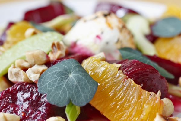 The Preacher's Son by null