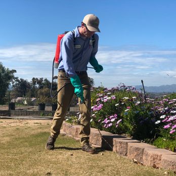 Green Flash - Pest Control Near Me - Vista, California Green Flash - Pest Control Near Me - Vista, California