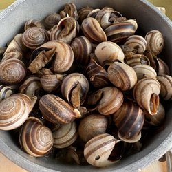 Allegro Seafood Grill - Snails