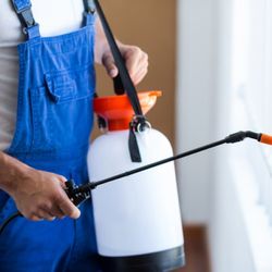 Down Yunder Pest Control