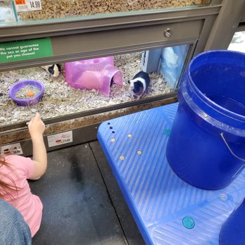 Pet Supplies Plus Winter Park - Pet Groomers Near Me - Winter Park, Florida