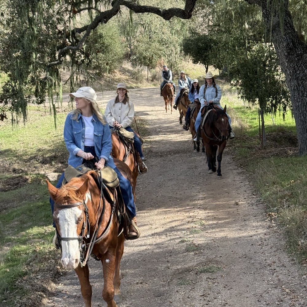 TOP 10 BEST Horseback Riding on Beach in Santa Barbara, CA - Updated 2026 -  Yelp, image size:1000x1000