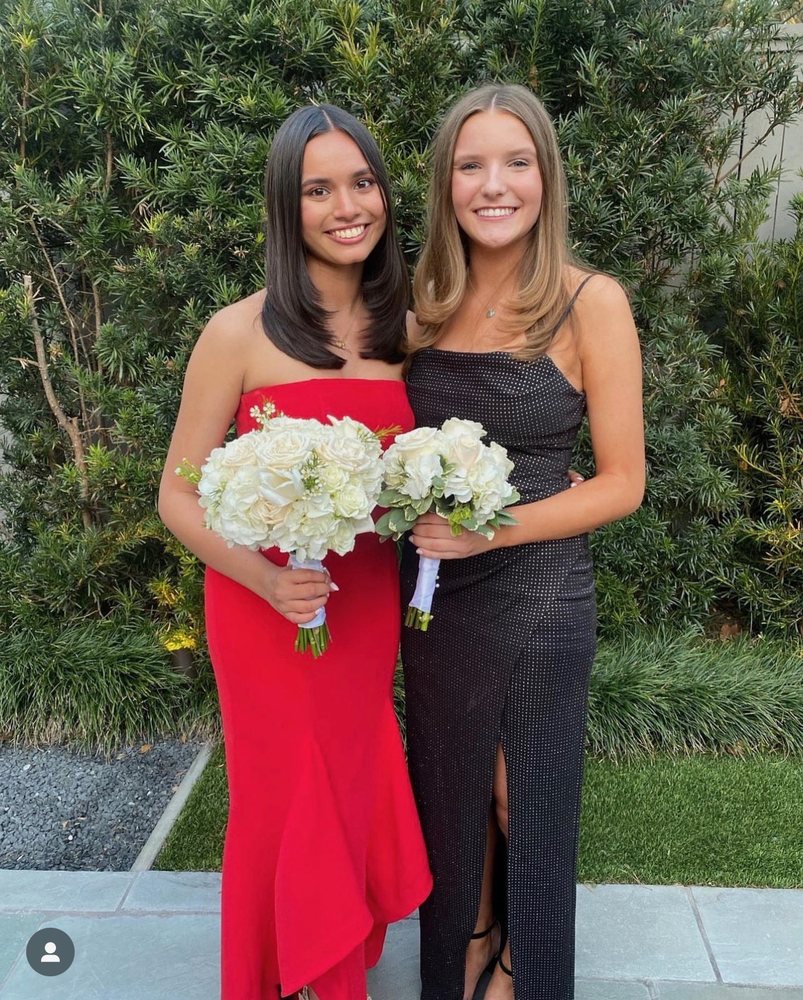 Swanky Airbrush Mobile Tanning Logo