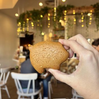Xaman Cafe - Cafes Near Me - Dallas, Texas