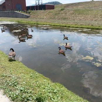 C&O Canal Towpath - Parks Near Me - Cumberland, Maryland