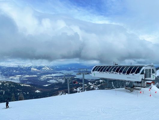 Schweitzer by null