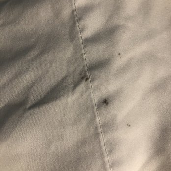Econo Lodge - Stained sheets - Hotels Near Me - Canon City, Colorado