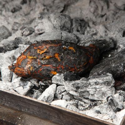 Los Burros Supremos by null