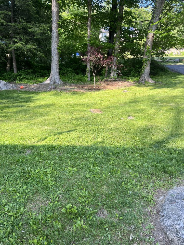 FOGLIA LANDSCAPE & DESIGN Updated August 2024 New Fairfield