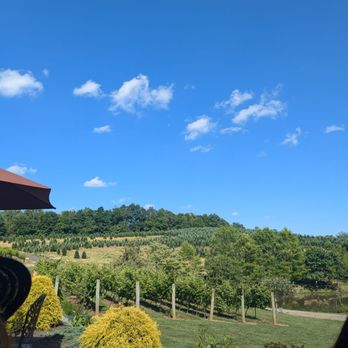 Linville Falls Winery - Wineries Near Me - Newland, North Carolina Linville Falls Winery - Wineries Near Me - Newland, North Carolina