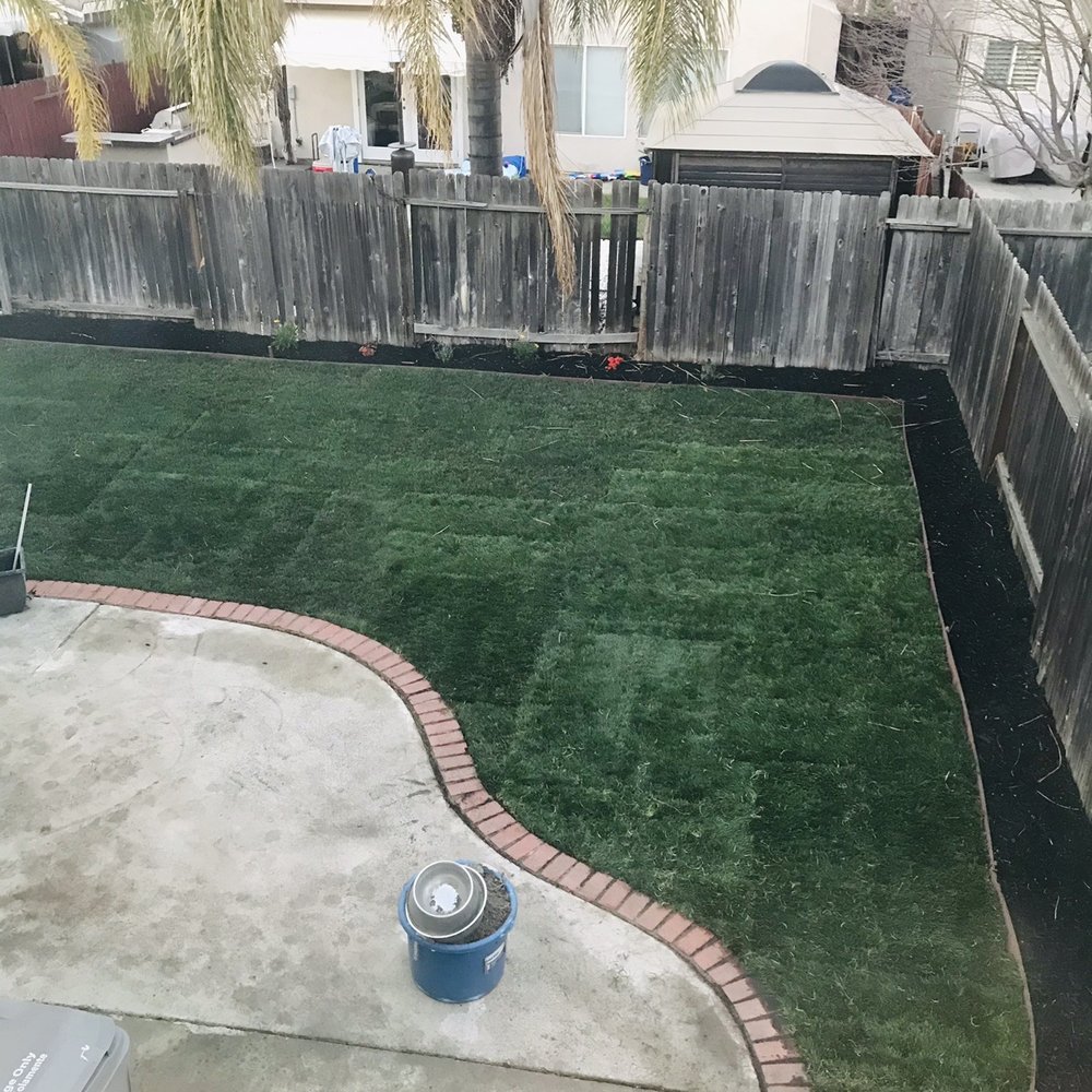 Harry's Landscaping and Maintenance - The miraculous work and transformation done by Gerardo!! New sod and sprinkler system repaired!! - Landscaping Near Me - Sacramento, California