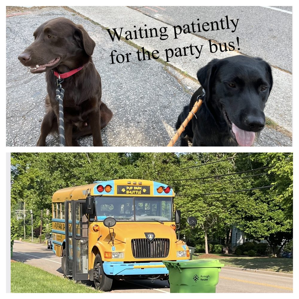 Pup Park Shuttle Logo