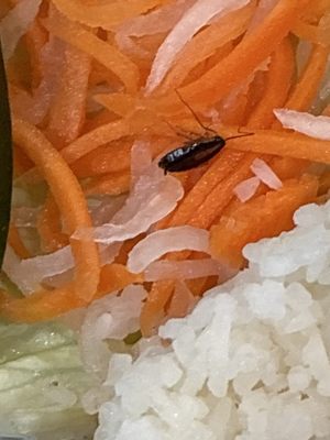 Hello Vietnam by null