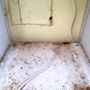 Coventry Pest Control