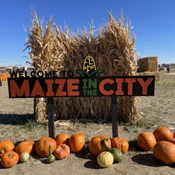 Maize in the City