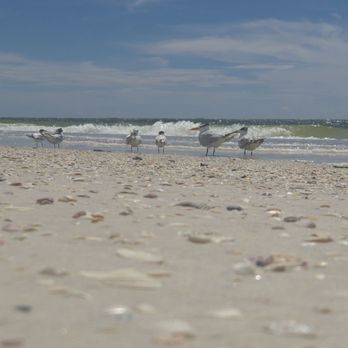 Coquina Beach - Beaches Near Me - Bradenton Beach, Florida
