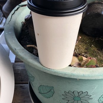 Well Grounded - Organic coffee (m. 2.50) - Bagels Near Me - El Cerrito, California