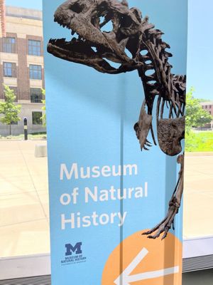University of Michigan Museum of Natural History by null