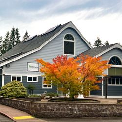 Chiropractic Lifestyle Center