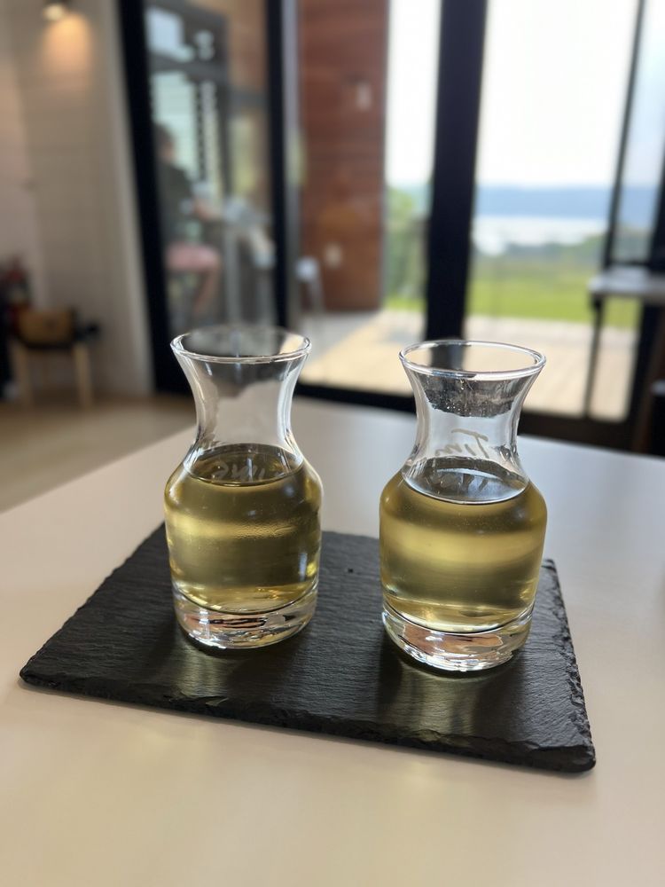 Standing Stone - vineyard in Hector, NY