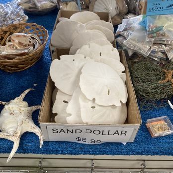 Florida Citrus Center Inc # 90 - Sand dollars - Candy Stores Near Me - Ocala, Florida