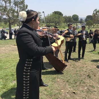 Mariachi Tecuala - Musicians Near Me Mariachi Tecuala - Musicians Near Me