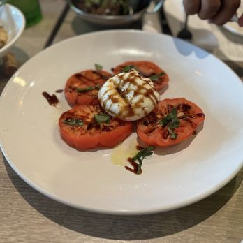 Barbusa - Burrata - Italian Near Me - San Diego, California Barbusa - Burrata - Italian Near Me - San Diego, California