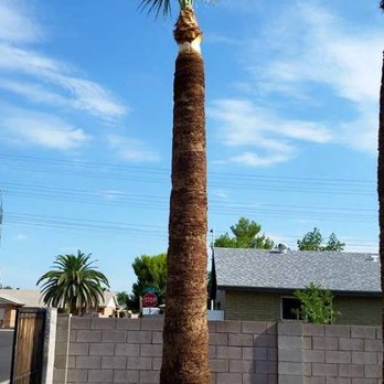 JOMX Landscape - Landscaping Near Me