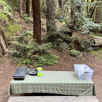 Big Sur Campground and Cabins - Campgrounds Near Me - Big Sur, California