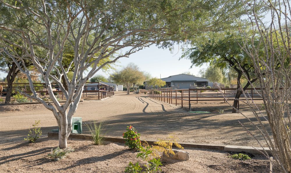 Bristol Show Stable - equestrian in Cave Creek, AZ