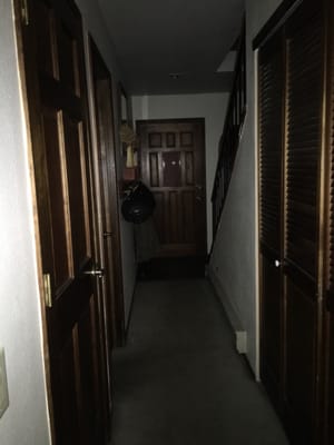 Snowbird Condominiums by null