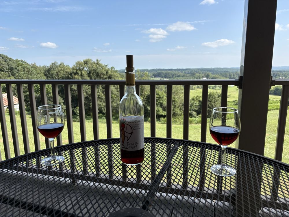 Native Son Vineyard Logo